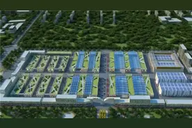 滨州市滨城区：全方位服务 加快重大项目建设视频封面