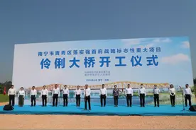 南宁市青秀区：伶俐大桥项目正式开工建设图片