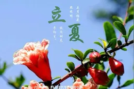 天津大学2020年高校专项“筑梦计划”招生简章图片