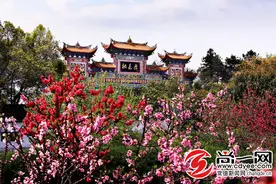 9元秒杀桃花源门票、199元住高端民宿！常德文旅投集团还送上了这些优惠图片