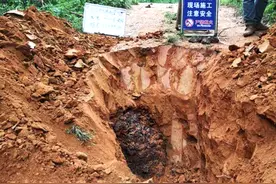 赤壁干堤挖出“白蚁王宫”活捉8对蚁王蚁后图片