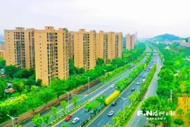 福州最美迎宾大道呼之欲出 南二环沿线处处皆景图片