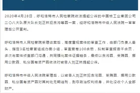 中核208大队原大队长刘正林犯贪污等四罪一审被判无期徒刑图片