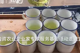 30秒 | 台湾农业专家点赞四川宜宾竹心茶：有苦无涩，是好茶！视频封面
