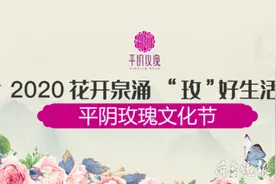 花开泉涌 ‘玫’好生活｜2020济南平阴玫瑰文化节开幕图片