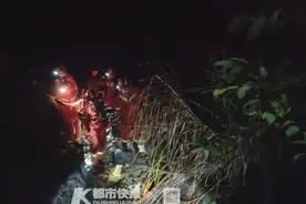 惊险！浙江一男子深山捕鱼滑落溪谷，当场昏迷，消防连夜冒雨施救图片