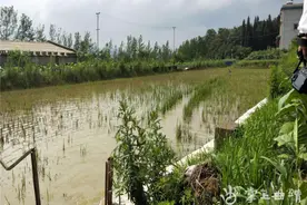 师宗一村民为方便自家耕地私自毁坏水利设施行为受查处图片