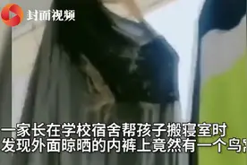阳台晾晒的内裤长鸟窝，家长：再晚点小鸟就孵出来了图片