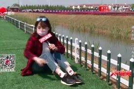 大丰农场万亩西瓜上市  甜度赛过哈密瓜？视频封面