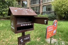 任性遛狗可罚2000！宁波城管发布爱犬出户指南图片