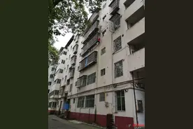 奶奶从楼顶吊9岁孙子爬窗开门 不料中途绳子断裂图片