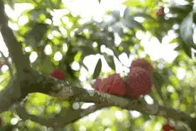 已致多人骨折、瘫痪，严重可致命！最近很多人都在做这事，务必要注意图片
