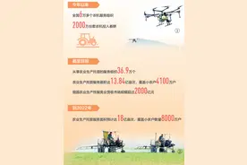 “80后”田保姆种粮记（危中寻机·农业迈向高质量）图片