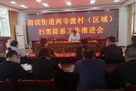 秦都区渭滨街道召开两寺渡村（区域）扫黑除恶工作推进会图片
