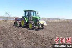 黑龙江省虎林市：“旱地直播”种水稻 每亩地成本省200元图片