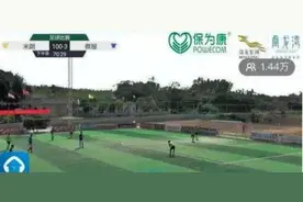中国足球惊现100-3比分，吴川足协：涉嫌严重消极比赛图片