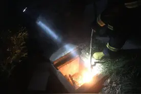 亭林小学惊现马蜂窝！金山民警和消防及时处置除隐患图片