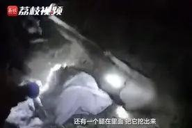 尴尬了！市民报警发现“尸体”警方连夜调查，原来是硅胶娃娃图片