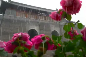 正定古城•雨：淅沥沥图片