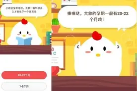 大象一般怀孕多久才能生？蚂蚁庄园小课堂5月8日今日答案图片