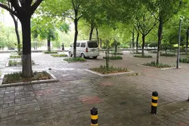 僵尸车趴窝东风渠游园，车内还有多个汽油桶?图片