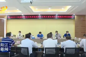 阳江：审计工作要更好服务全市发展大局图片