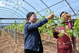 任圩村第一书记王海峰：“俺们村来了个办实事的好书记”图片