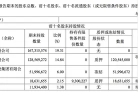 缺钱就圈！泰豪科技拟定增募资13亿，引入军工国资战投图片