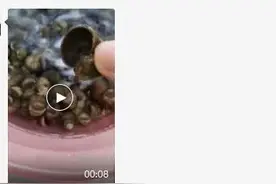 浙江多地已出现！这种东西千万别误食，一只最多可有6000条寄生虫图片