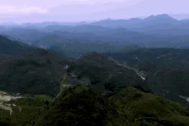 闽南雪梨茶：人生之幸，无外乎失而复得的滋味图片