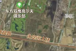 水来了，盘踞永定河的TA们停业图片