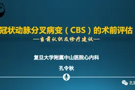 如何做好分叉病变的术前评估丨介入讲武堂「四」图片