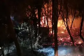 云南安宁市突发山火千余人现场扑救，植被以云南松为主图片