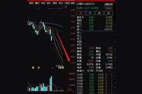 连续10个"一字"跌停，实控人取保候审！这公司到底怎么了？图片