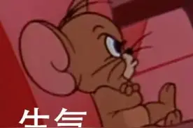 惨不忍睹！青岛这座山上，树枝被硬生生掰断！网友：唉……就缺这口吃的？图片