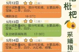 塘栖枇杷好吃了，最先成熟的仁和80%开采，价格最实惠的在东湖图片