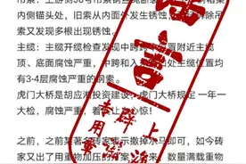 “虎门大桥抖动是因38号吊索断裂”？假！这是旧闻移花接木图片