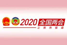 全国人大代表李书福：建议将车辆购置税改为中央地方共享税图片