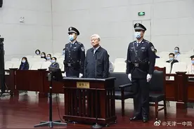 涉案7.17亿！这只老虎今日受审（附简历）图片