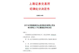 *ST银鸽及有关责任人被通报批评：业绩预告不准，内控存重大缺陷图片