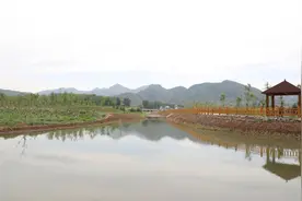 密云太师屯镇一招巧破飞絮难题 村民还有了月分红图片