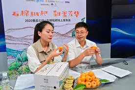枇杷熟了！四川石棉线上把“甜蜜”卖向全国图片