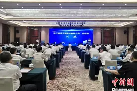 “小个子”迸发大能量“湖9条”新政推出40天签亿元项目87个图片