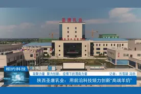 陕西圣唐乳业：用前沿科技倾力创新“高端羊奶”图片