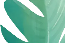 开学在即，这里有最详尽的开学时间表图片