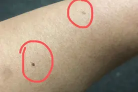沙尘混合小雨北京下泥了图片