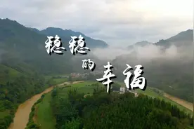稳稳的幸福视频封面
