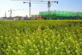 集成攻坚开新局——高密市抢抓机遇打造开放发展新高地图片