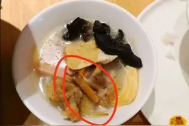 厨师被指向锅里吐口水怎么回事？详细经过始末曝光令人作呕图片