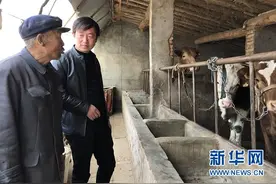“攒劲”小伙马金龙的带贫路图片